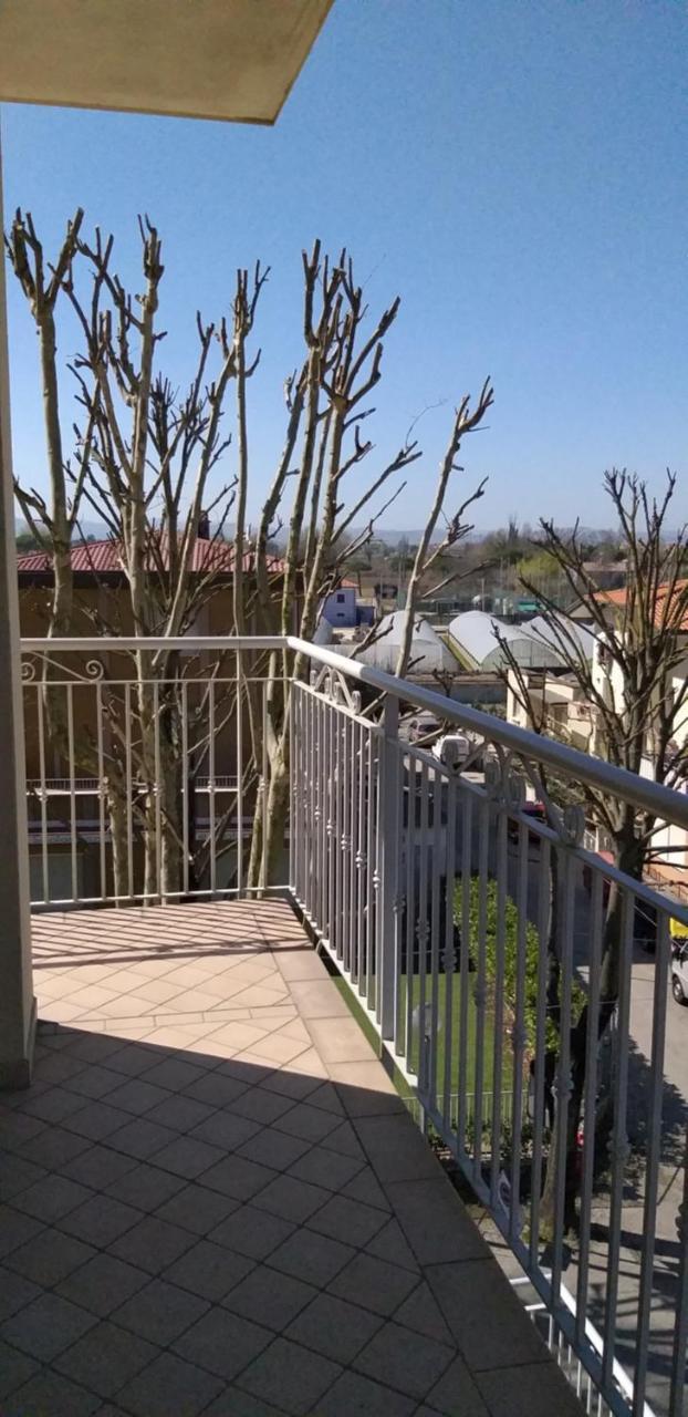 Hotel Alfa Anche In All Inclusive Rimini Dış mekan fotoğraf